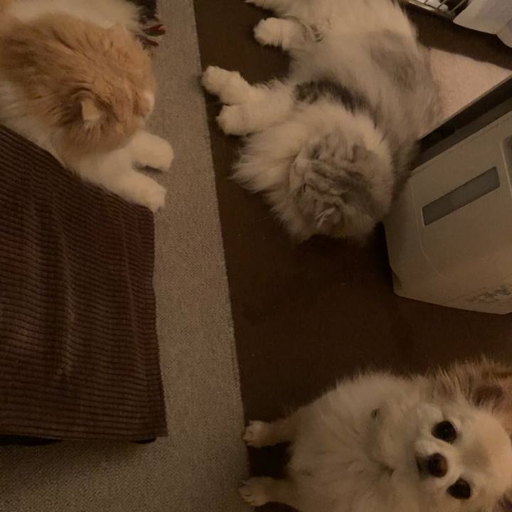 5dc6111b 106a 4125 bcb9 d288a3ddb884 1645187534816