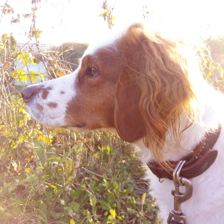 5dc69676 84b2 4ba6 a2fa b02b5782d1f0 1512286512931