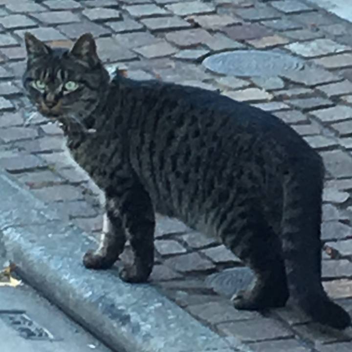 5dc6ae8f 5adf 438b 8dfd 08a40e449f16 1546528763085