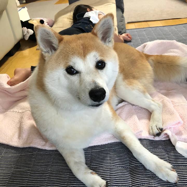 5dc6be71 819c 41c3 89f3 029c9139be51 1589869659074