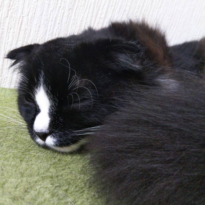 5dc6ca75 ad5e 4dce b6b4 e0d2314009c7 1651020737774