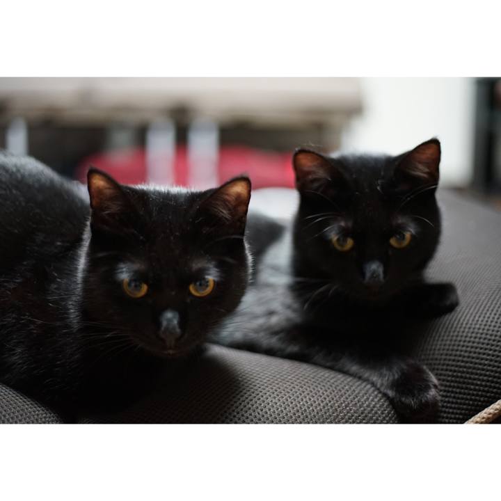 5dc6cdcc 42b0 4c53 9bad 7c6bae4d657d 1523765379895