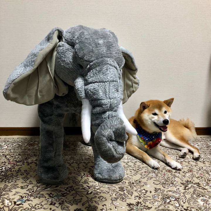 5dc6e4d3 203b 4462 990a 9257aa22e1fb 1536463061461