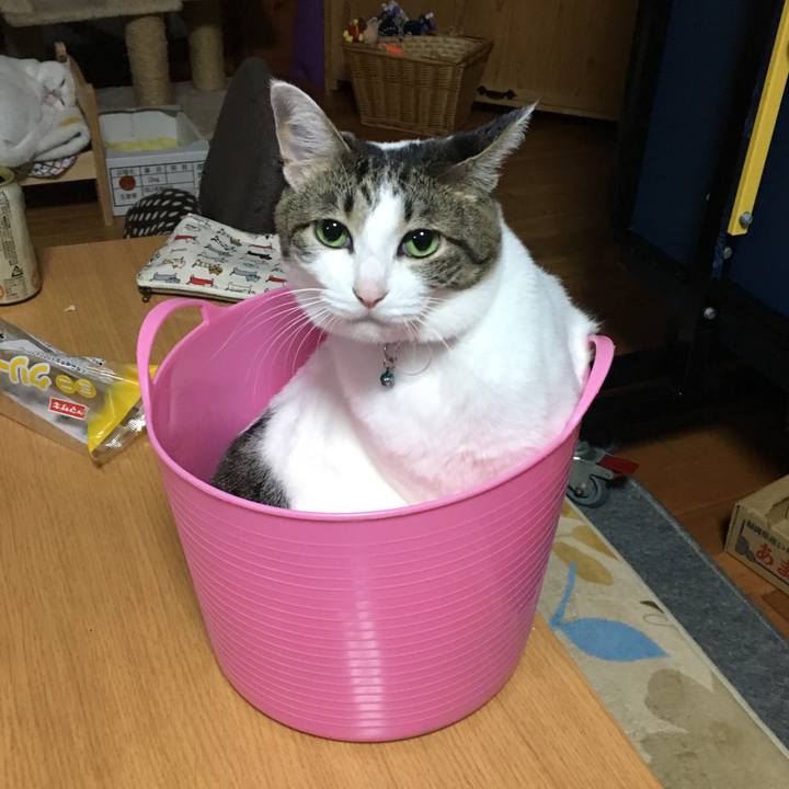 5dc6e570 5901 4ad2 90f1 69dca135c969 1512307053742