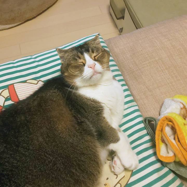 5dc6f0e9 e2f6 437f a58f 9d84fa8e7c33 1763565663920