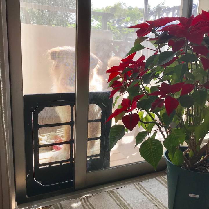 5dc74e09 4eeb 4ae5 be07 50405427a7cf 1542684671911