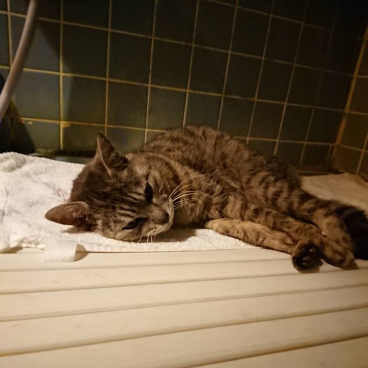 5dc76f0a c1ff 409a 98d7 c263ecdfe161 1590837787746