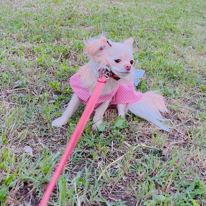 5dc77256 d8af 4a51 ad7d 3247ccc79609 1653311963805