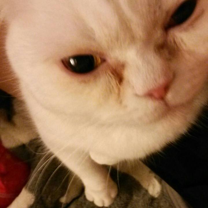 5dc78aab 2722 45e3 a21f ad4d4727b993 1523537589904