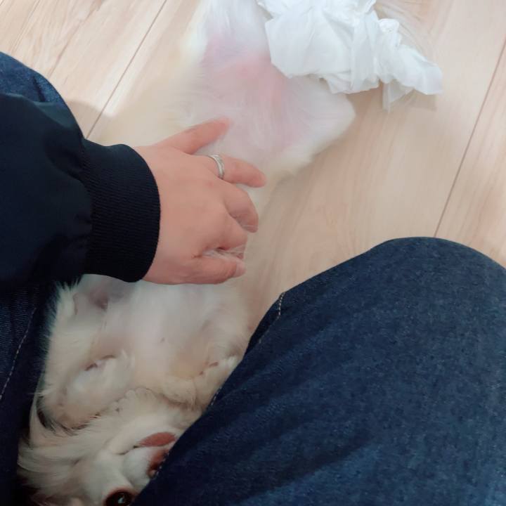 5dc7968f c3a1 4b59 9b88 cd25f9aca2bb 1713350900119