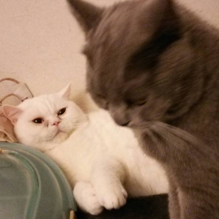 5dc7c04f e553 4c3c ad69 d2b9f19d74a3 1554728176192