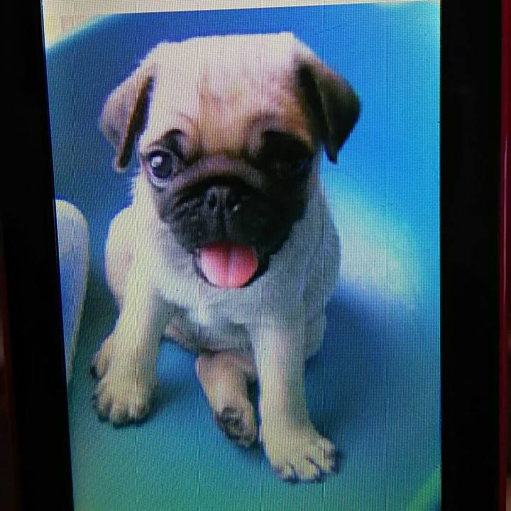 5dc7ecff a85f 4bf9 95f5 762b26f9045f 1547216746747