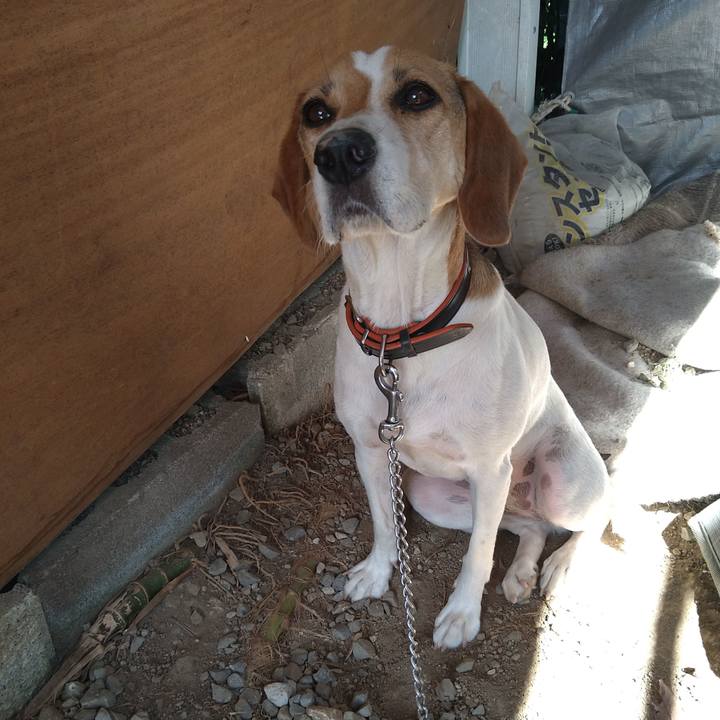 5dc8140b f262 4a7c 84f1 80ca4a9f9cf4 1627562765943