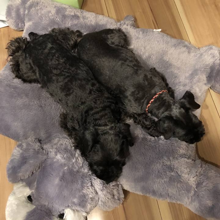 5dc820cc fc1f 43ab 82be d6fdc240e620 1525439129260