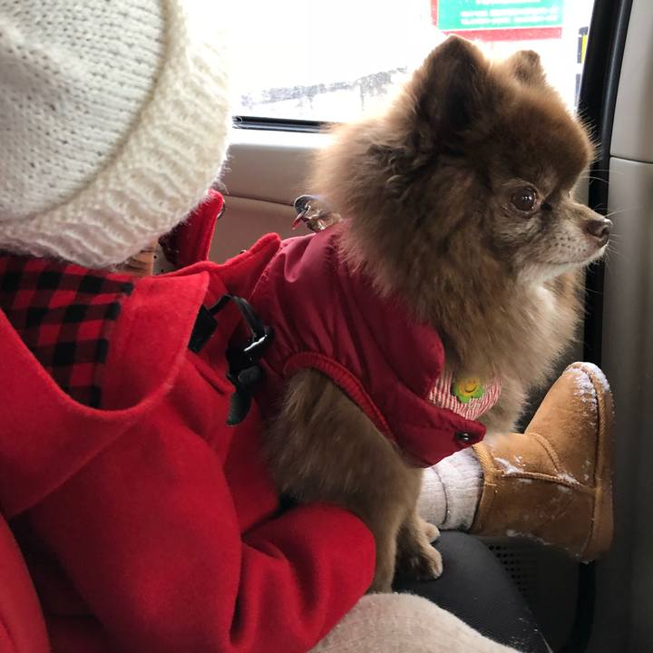 5dc89d44 ff6c 4356 9a1a faf96328f49d 1546662954939