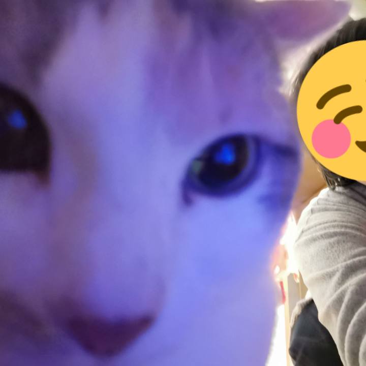 5dc900fe 7b9a 428c 971e da25f500da46 1671942626891