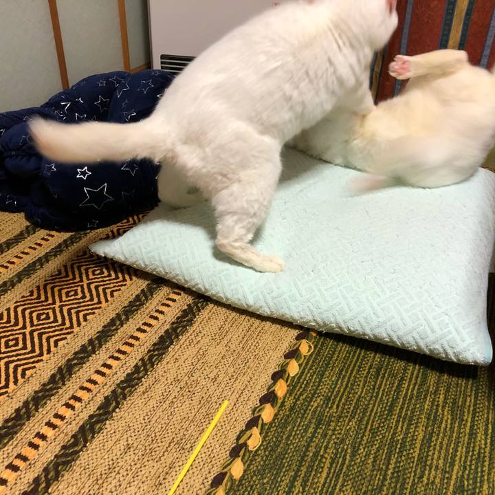 5dc92aea 6c09 4680 a35b d949e2689621 1544947541742