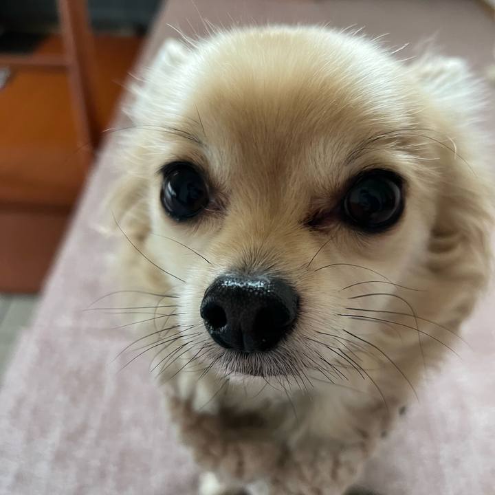 5dc92e5a 0aee 4f35 a6a1 bbb71f93869e 1672456770166