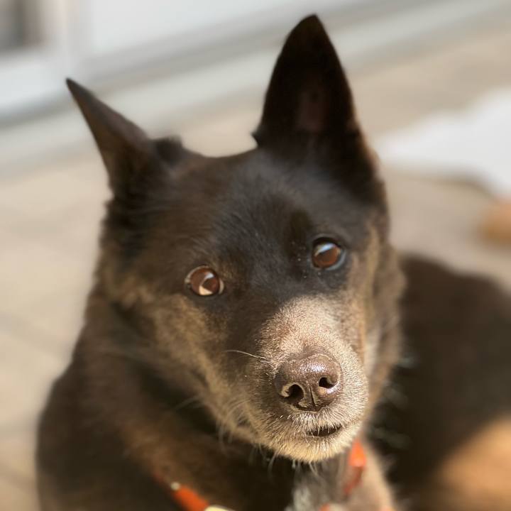 5dc93b54 fc2c 4c14 9d5c ed86439dd06b 1653701806834