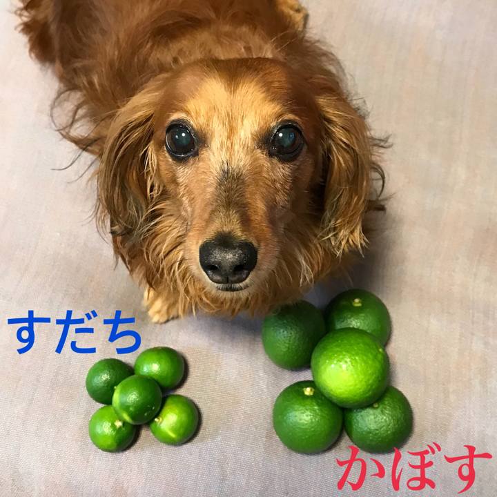 5dc95f0d 0020 4b7b a68a 9f5993473e55 1536580050444