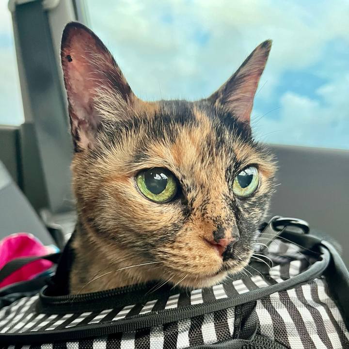 5dc98b1e 44a2 47be 99c0 359bec3d4da4 1667096603894