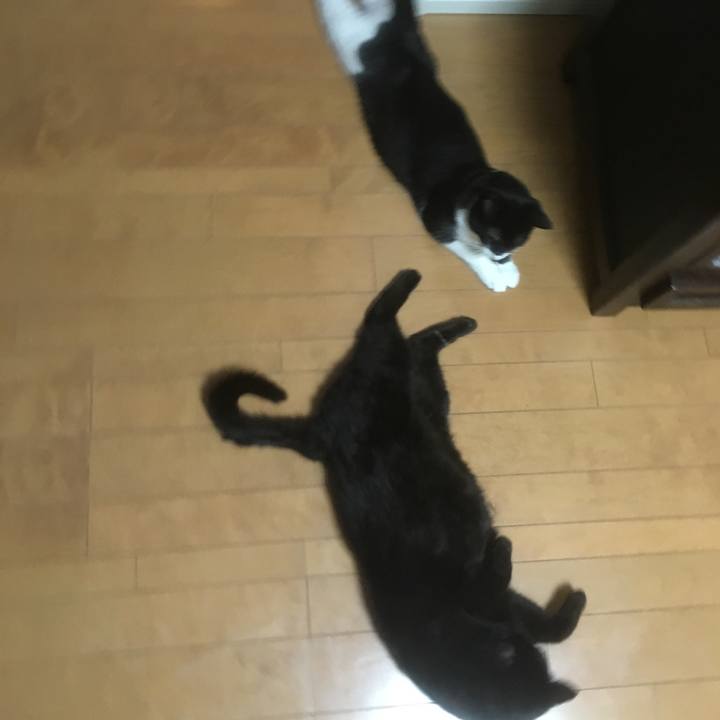 5dc9bef1 4383 473c a564 476b5f74b609 1524372605308