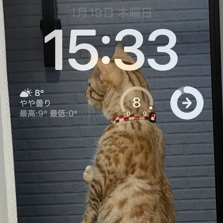 5dc9f6b0 b100 425f 9f21 6b82f6e758be 1674110121306