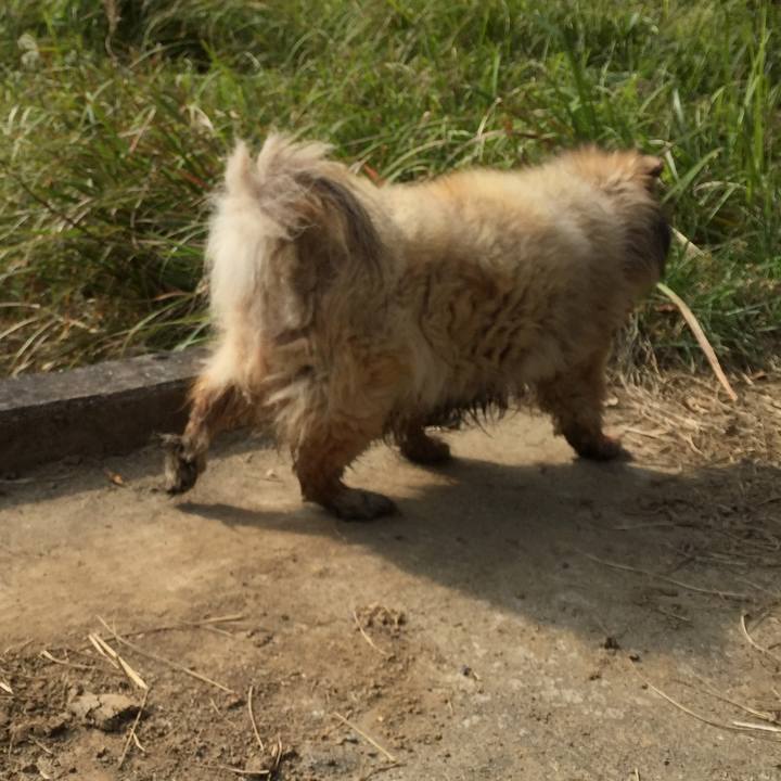 5dca1961 25d8 4025 b731 d0de677baef5 1587342639323