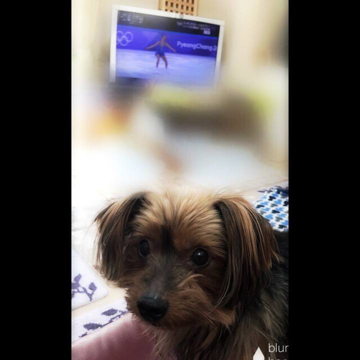 5dca1c72 8dd3 41cb 889d a4887b64f4fb 1519353655019