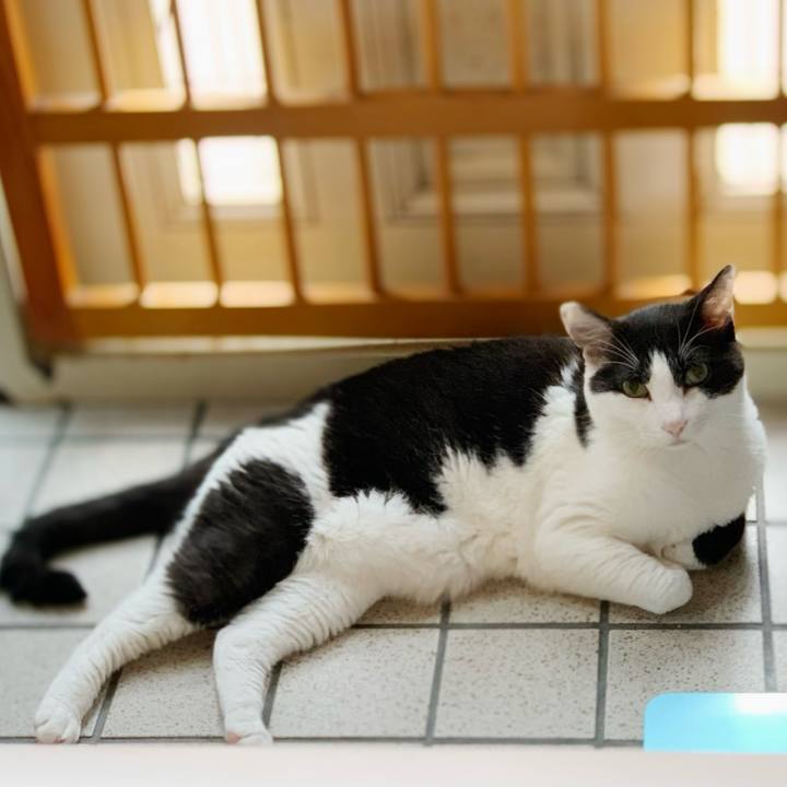 5dca342e 85c0 43d5 accd d3c3dfa1f766 1598583295325