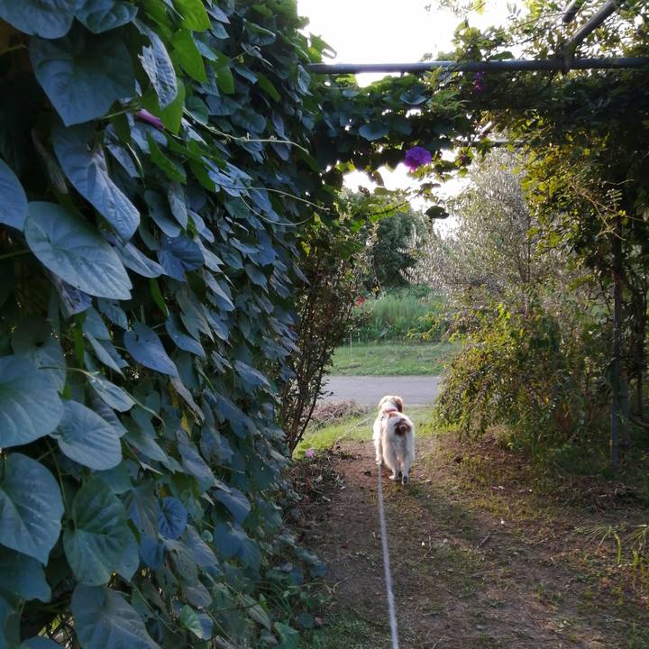 5dcab154 dc2b 4669 95a2 cd459f7a60bd 1600681161106