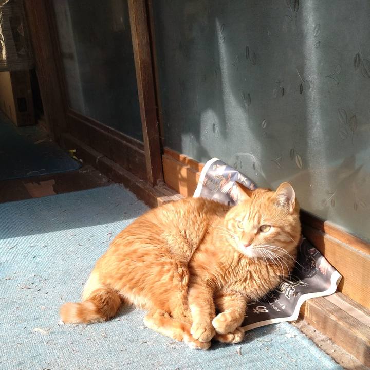 5dcac993 f774 4892 bca1 4ada07e81a7d 1675048179344