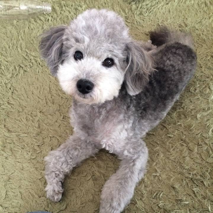 5dcae369 af46 4383 9637 d80d83513f58 1731317294482