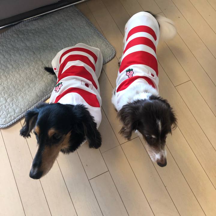 5dcb03d7 d52f 4d7c bdcd 5e40f07482aa 1572914274578