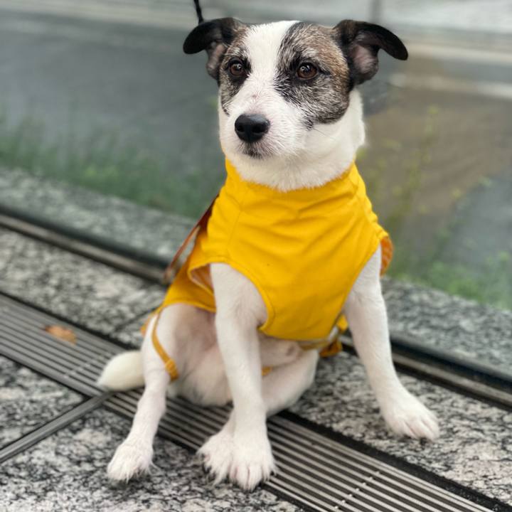 5dcb32cd 5cb2 494e 81c0 181ed8cdbb23 1728390885432