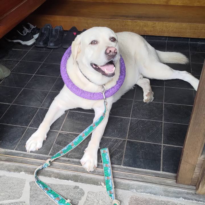 5dcb6a05 5395 47d7 a634 953e0fe38da5 1659145416471