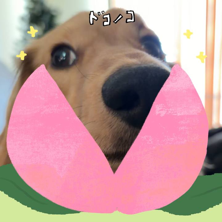 5dcb86fe f231 4b1f b0c2 d4918c551dcf 1772002912610