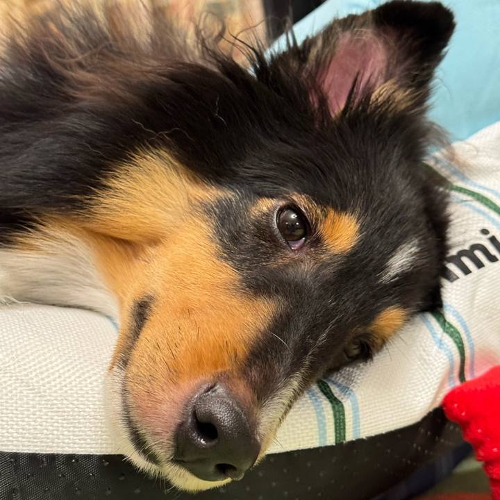 5dcb949b 5082 4edf afa7 0e756108db3b 1752514840840