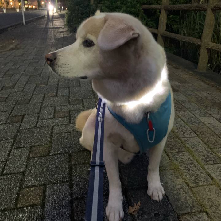 5dcbba78 052e 47f7 80e4 41f2207f625d 1665396311739