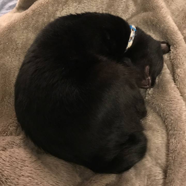 5dcbd0f2 66f0 4062 985e c06e44d5b945 1516457237908