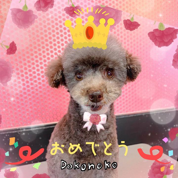 5dcbd7c0 aa99 4c45 a686 11504afdc7b6 1685940797552