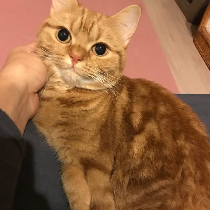 5dcc049c 8ba7 4bb4 9fcf 4bf2d1f7d9dc 1514207953853