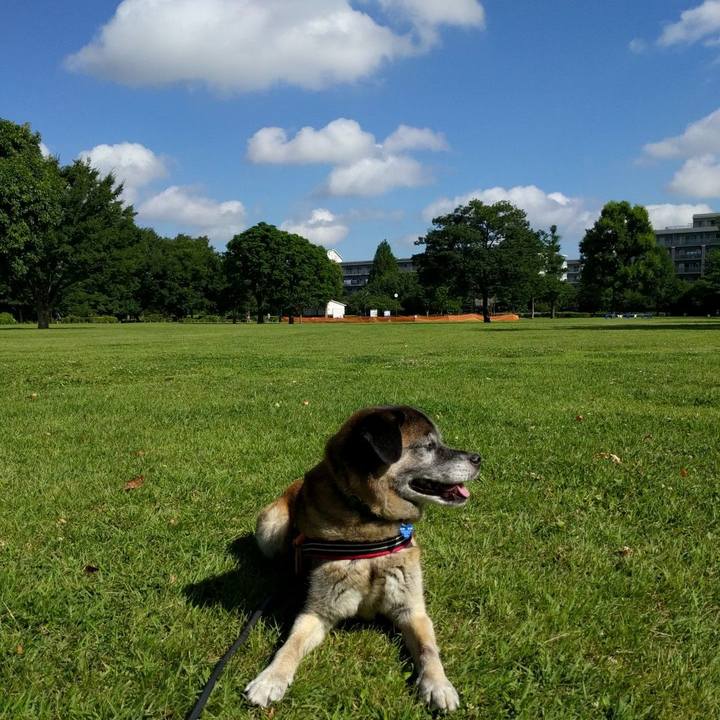 5dcc0d2c 123c 425f a86f 71c5af7b45c8 1531093588258