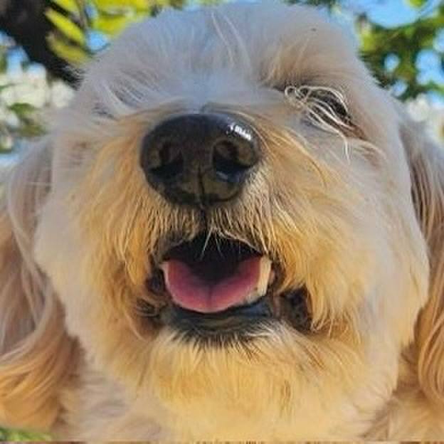 5dcc24ae 0142 4288 bec7 cc8ddb3f05bf 1763197184439