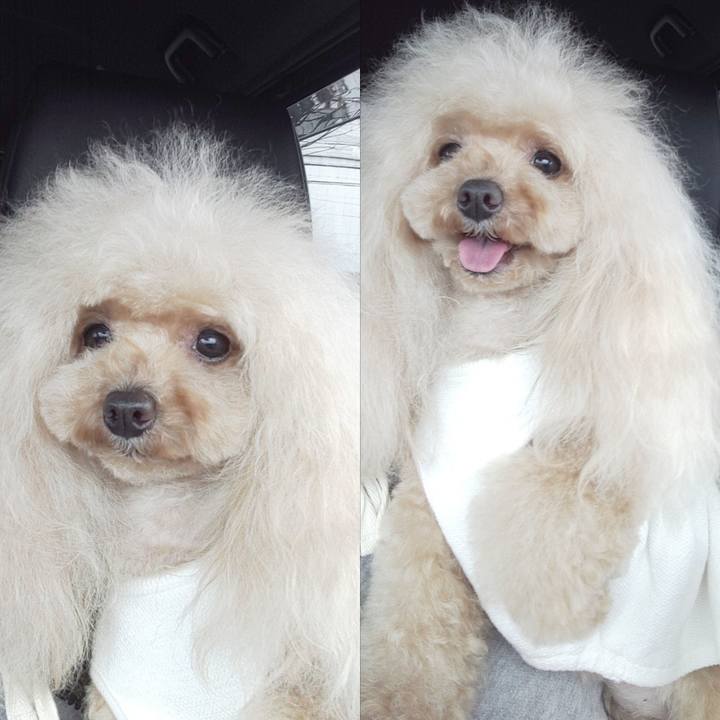 5dcc35fc 912c 46aa 82b6 2134fd22eb78 1587382354284