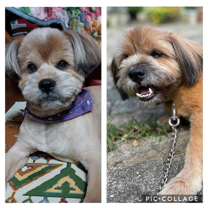 5dcc4761 f8d7 4fc7 8a10 831cb979c5b7 1633698323771