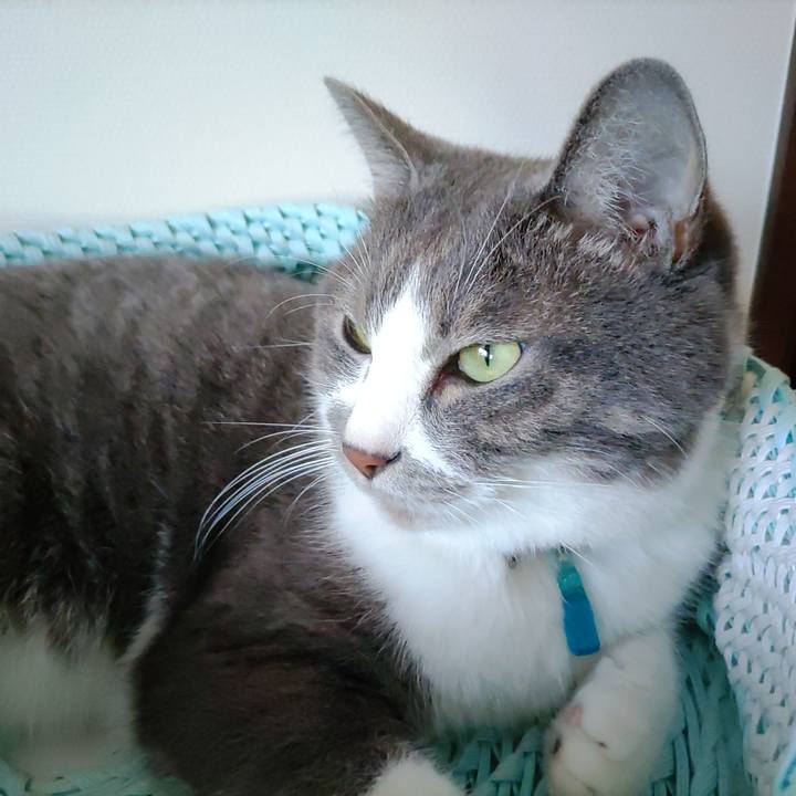 5dcc80ed ca50 41d6 8c54 c112de39b5f1 1722204780781