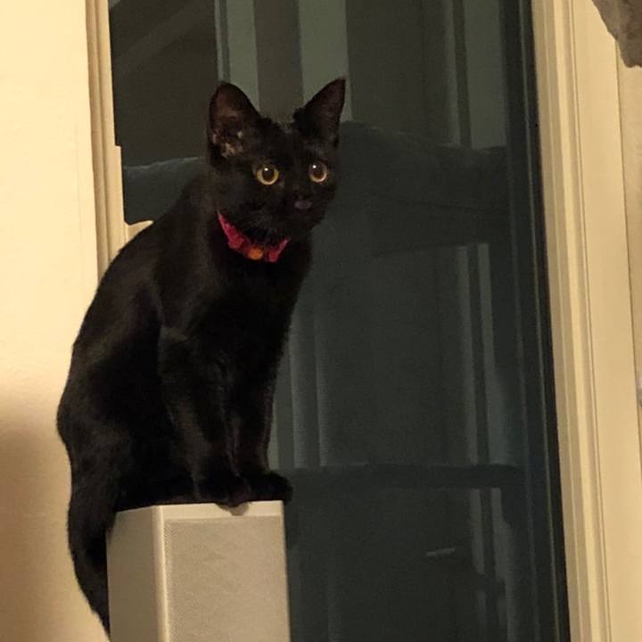 5dccaa29 9b35 48b8 bc9a cbd7c2dcc101 1668053055852