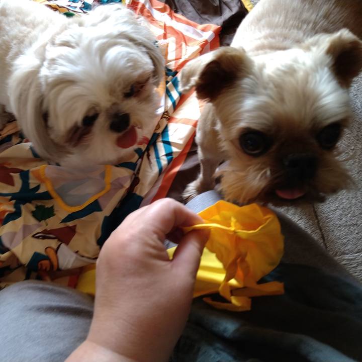 5dccb65f 014f 4002 93c1 e82352d93fcd 1620525155255