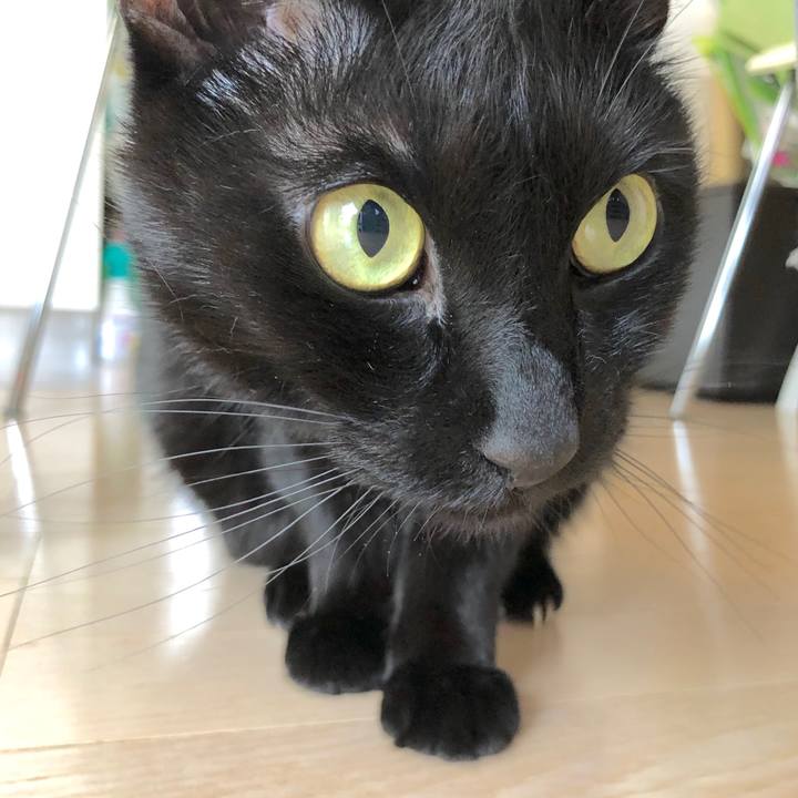 5dccd009 56e9 4f2e 9ddc d3ba11fef9fc 1521857260049